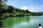 دریاچه الیمالات شهرستان نور استان مازندران / زیبایی منحصر به فرد و تماشای جنگل های انبوه