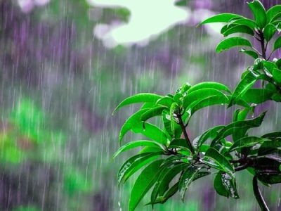 پیش‌بینی بارش‌های رگباری در کهگیلویه و بویراحمد از روز دوشنبه