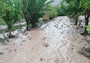 اعلام نقاط پرخطر سیلابی گچساران