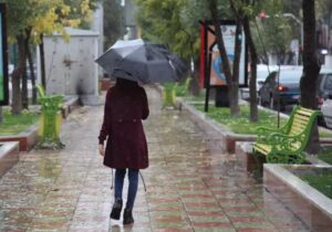 هواشناسی فارس:سامانه بارشی برای استان از اوایل هفته پیش بینی می‌شود   