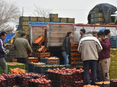 هزارتن میوه برای طرح تنظیم بازار فارس تأمین شد