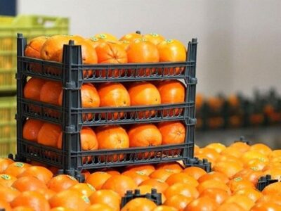 ۸۵۰ تن سیب و پرتقال طرح تنظیم بازار در فارس توزیع شد