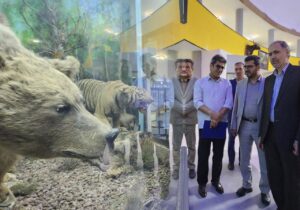 موزه تاریخ طبیعی شیراز بازگشایی شد