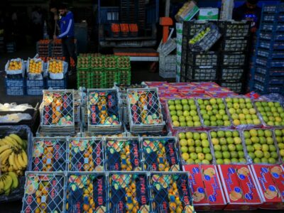 توزیع میوه طرح تنظیم بازار در استان فارس آغاز شد 
