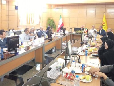 نشست تخصصی بررسی چالش‌های منابع انسانی صنعت برق