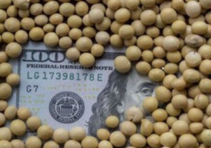 درخواست انتقال ارز از بانک مرکزی به شرکت‌های نهاده