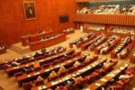 سنای پاکستان در سوگ شهادت رئیس جمهور ایران قطعنامه تصویب کرد