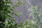 هواشناسی: بارش های رگباری تا چهار روز آینده برخی مناطق فارس را در بر می گیرد  