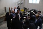 ۸۸۰ کیلومتر از شبکه برق همدان به کابل خودنگهدار مجهز شد