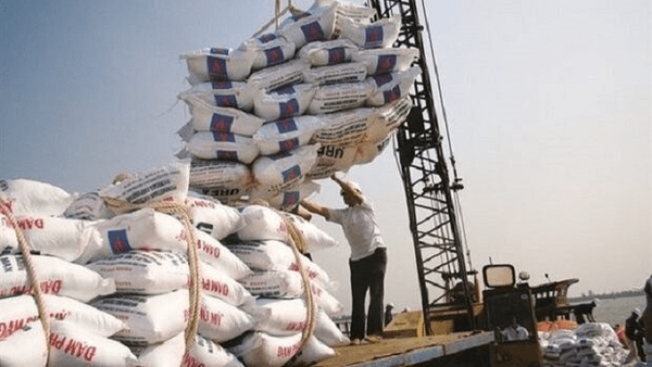 استان‌های غیرمرزی هم به واردات کالاهای اساسی وارد شدند