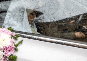 دولت آب پاکی را روی دست زوج‌های جوان ریخت