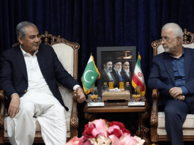 وزیر کشور پاکستان وارد تهران شد